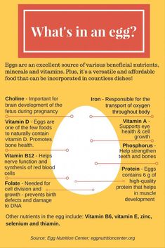 Egg Facts, Egg Benefits, Cooking Substitutions, Best Detox, Healthy Benefits, Brain Development, Healthy Diet Plans