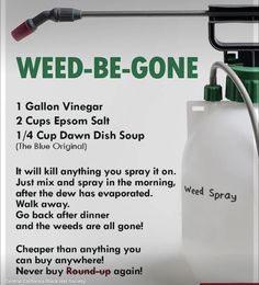 Kill Weeds Naturally, Steel Decor, Living Pool, Garden Remedies, Lawn Care Tips, Garden Weeds, Garden Types, Garden Help, Home Vegetable Garden