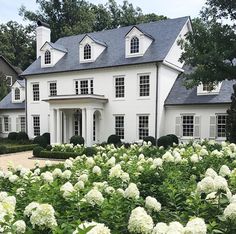 a large white house with lots of windows and plants in the front yard, surrounded by greenery