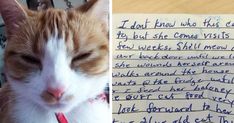 an orange and white cat sitting next to a piece of paper with writing on it