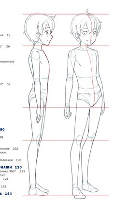 an image of a person's body and the measurements for each figure in this drawing