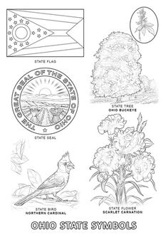 the state symbols are shown in black and white, as well as an image of a tree