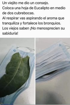 two pictures showing the procedure for disposable face masks with leaves on them