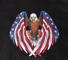 an eagle with two crossed swords on it's wings and the colors of the american flag