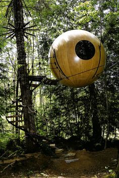 a large wooden object hanging from the side of a tree in a forest with lots of trees around it