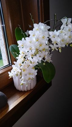 white flowers in a vase sitting on a window sill