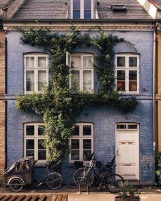 two bicycles parked in front of a blue building with ivy growing on it's side