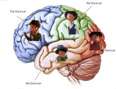 the human brain is shown with different parts labeled in each one's head and neck