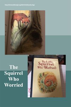 the squirrel who worried book cover with an image of a red fox on it