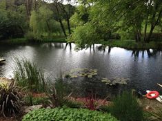 there is a small pond with lily pads in the foreground and canoes on the other side