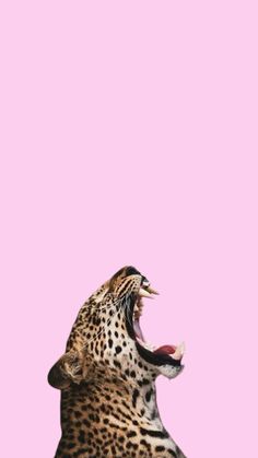 a leopard with its mouth open and it's teeth wide open in front of a pink background