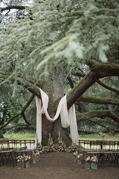 an outdoor wedding setup under a large tree