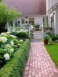 a brick pathway leads to a house with white hydrangeas in the front yard