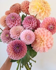 a vase filled with pink and yellow flowers