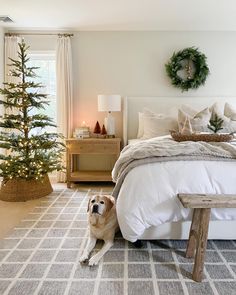 a dog sitting on the floor in front of a bed with white sheets and pillows