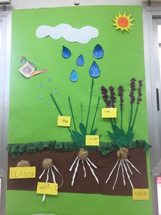 a bulletin board with plants and water drops on it's sides in front of a green wall