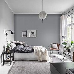 a bedroom with gray walls and white carpeted flooring in the middle of it