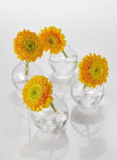 four clear vases with yellow flowers in them