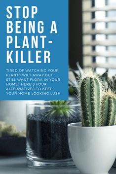 a cactus in a white pot sitting on top of a table next to other plants