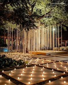 many candles are lit on the ground in front of a tree with lights hanging from it