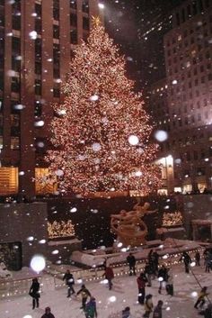 a large christmas tree in the middle of a city