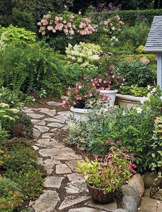 a garden with lots of flowers and plants in pots next to a stone path that leads up to a shed