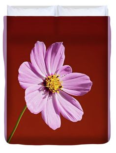 a single pink flower on a red background duvet cover by panoramic images