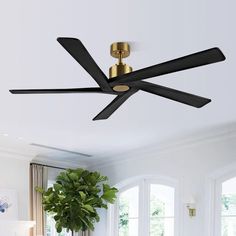 a ceiling fan in a living room with a plant on the table next to it