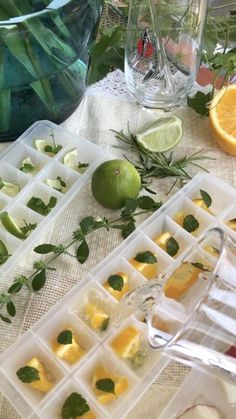 lemons and lime slices are arranged in trays on a table