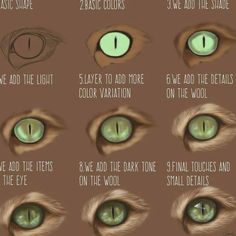 how to draw cats eyes step by step instructions for beginners with pictures and text