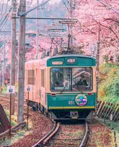 a green and yellow train traveling down tracks next to trees with pink flowers on them