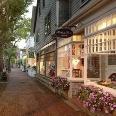 the sidewalk is lined with flower boxes and shops