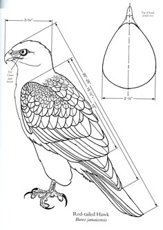 a drawing of a bird sitting on top of a piece of paper with the measurements