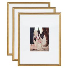 three gold frames with a small dog in the middle one has a black and white boston terrier on it's chest