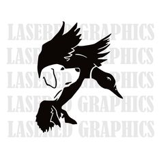 a black and white image of an eagle with the words laser graphics