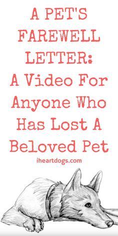 a drawing of a dog laying down with the words, a pet's farewell letter a video for anyone who has lost a beloved pet