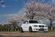 a white car is parked in front of some cherry trees with pink blossoms on it