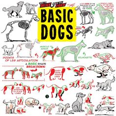 an illustrated guide to basic dogs