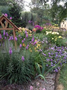 a garden filled with lots of purple and yellow flowers next to a wooden birdhouse