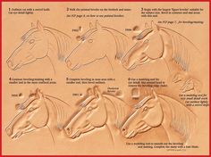 the instructions for how to draw horses