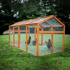 three chickens in a chicken coop on the grass