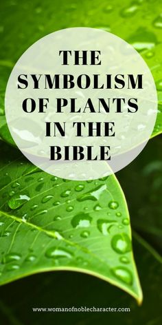 green leaves with the words, the symbol of plants in the bible on top of it