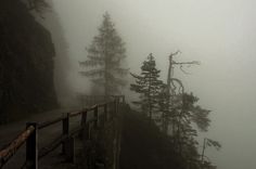 a foggy mountain road with trees on both sides and a fence in the foreground