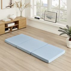 a blue mat sitting on top of a hard wood floor next to a potted plant