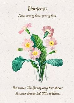 a card with pink flowers and green leaves on the front reads,'i love you very young love '