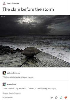 an image of a storm coming in from the ocean with caption that reads, the clam before the storm