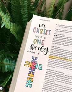 an open bible with the words in christ we are one body printed on it next to some ferns