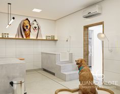 a dog is sitting in the middle of a room with white walls and tile flooring