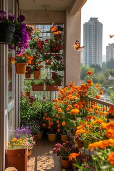 the balcony is filled with potted plants and flowers