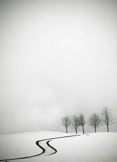 a snow covered field with trees in the distance and a path leading up to it